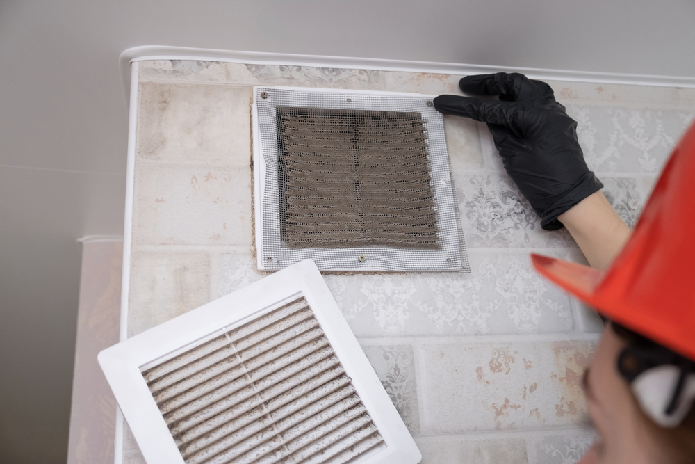 https://www.buffalohomeremodelingtx.com/buffalo-home-remodeling-and-remediation-replacing-dirty-air-duct-filter