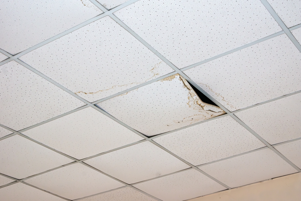 https://www.buffalohomeremodelingtx.com/buffalo-home-remodeling-and-remediation-commercial-ceiling-panel-water-damage