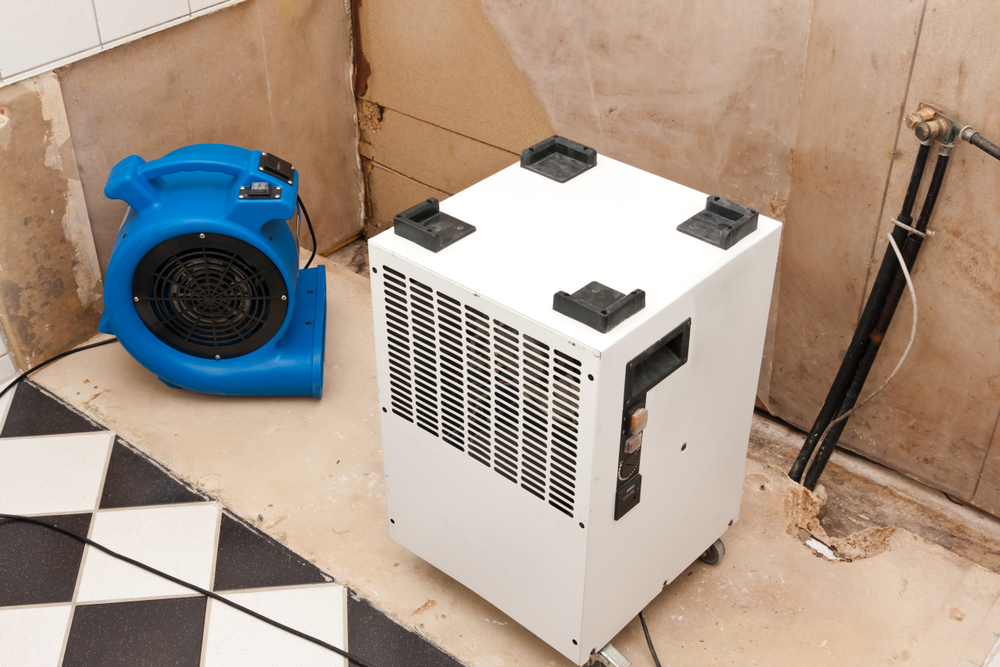 https://www.buffalohomeremodelingtx.com/buffalo-home-remodeling-and-remediation-water-damage-eleimination-fan-and-dryer