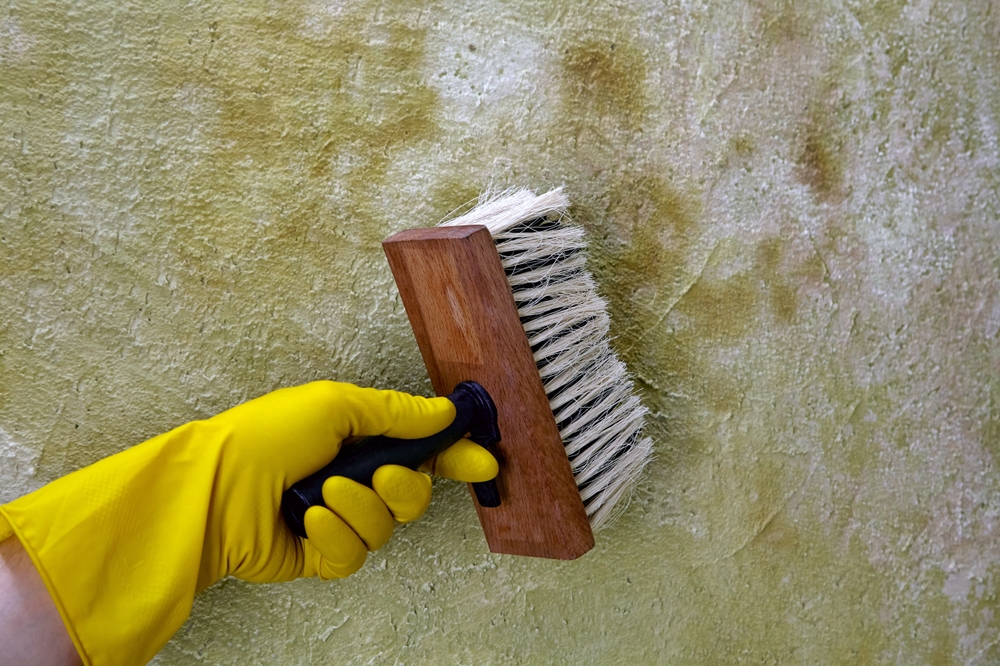 https://www.buffalohomeremodelingtx.com/buffalo-home-remodeling-and-remediation-brushing-smoke-marks-on-wall