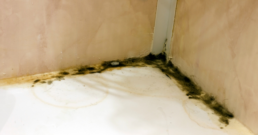 https://www.buffalohomeremodelingtx.com/buffalo-home-remodeling-and-remediation-black-mold-growth-in-bathroom-corner