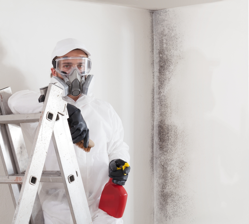 https://www.buffalohomeremodelingtx.com/buffalo-home-remodeling-and-remediation-professional-mold-removal-service
