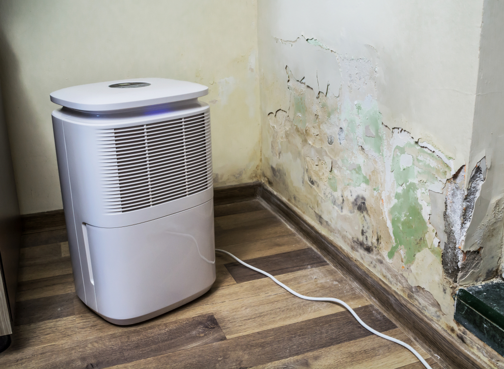 https://www.buffalohomeremodelingtx.com/buffalo-home-remodeling-and-remediation-dehumidifier-next-to-water-damaged-wall