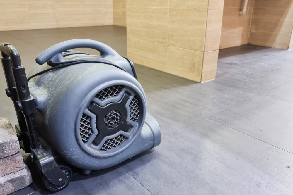 https://www.buffalohomeremodelingtx.com/buffalo-home-remodeling-and-remediation-industrial-floor-dryer