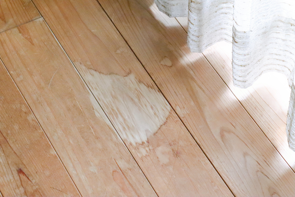 https://www.buffalohomeremodelingtx.com/buffalo-home-remodeling-and-remediation-water-damage-on-wooden-floor-staining