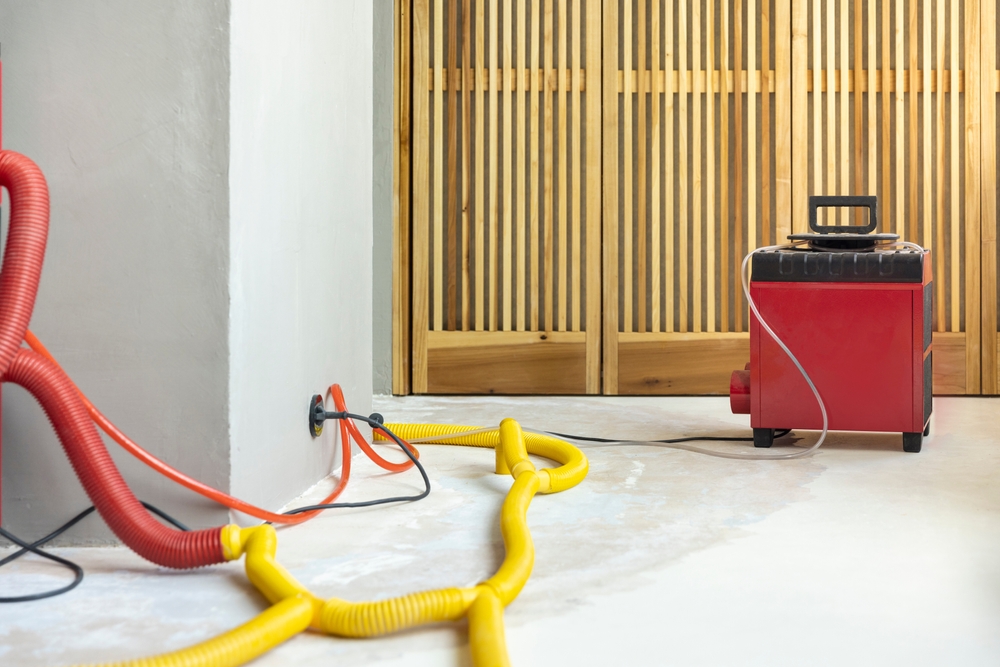 https://www.buffalohomeremodelingtx.com/buffalo-home-remodeling-and-remediation-water-damage-restoration-service