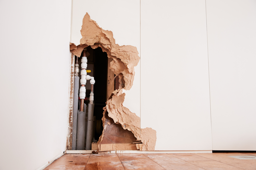 https://www.buffalohomeremodelingtx.com/buffalo-home-remodeling-and-remediation-water-damaged-wall-exposing-pipes