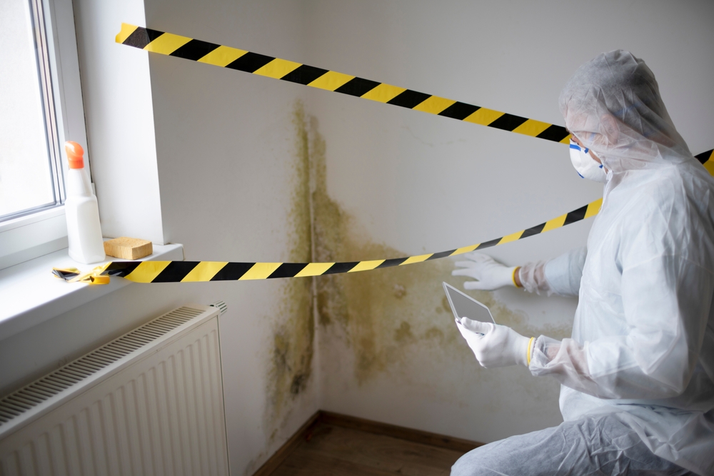 Buffalo Home Remodeling and Remediation Mold Removal and Remediation Services