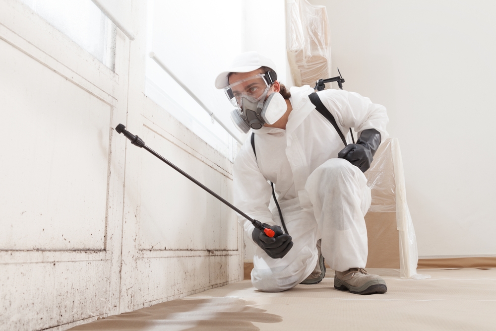 Buffalo Home Remodeling and Remediation Microbial Technician Using Protocols for Mold Remediation