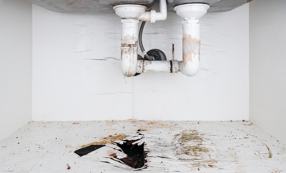 Buffalo Home Remodeling and Remediation Water Damage Under Sink